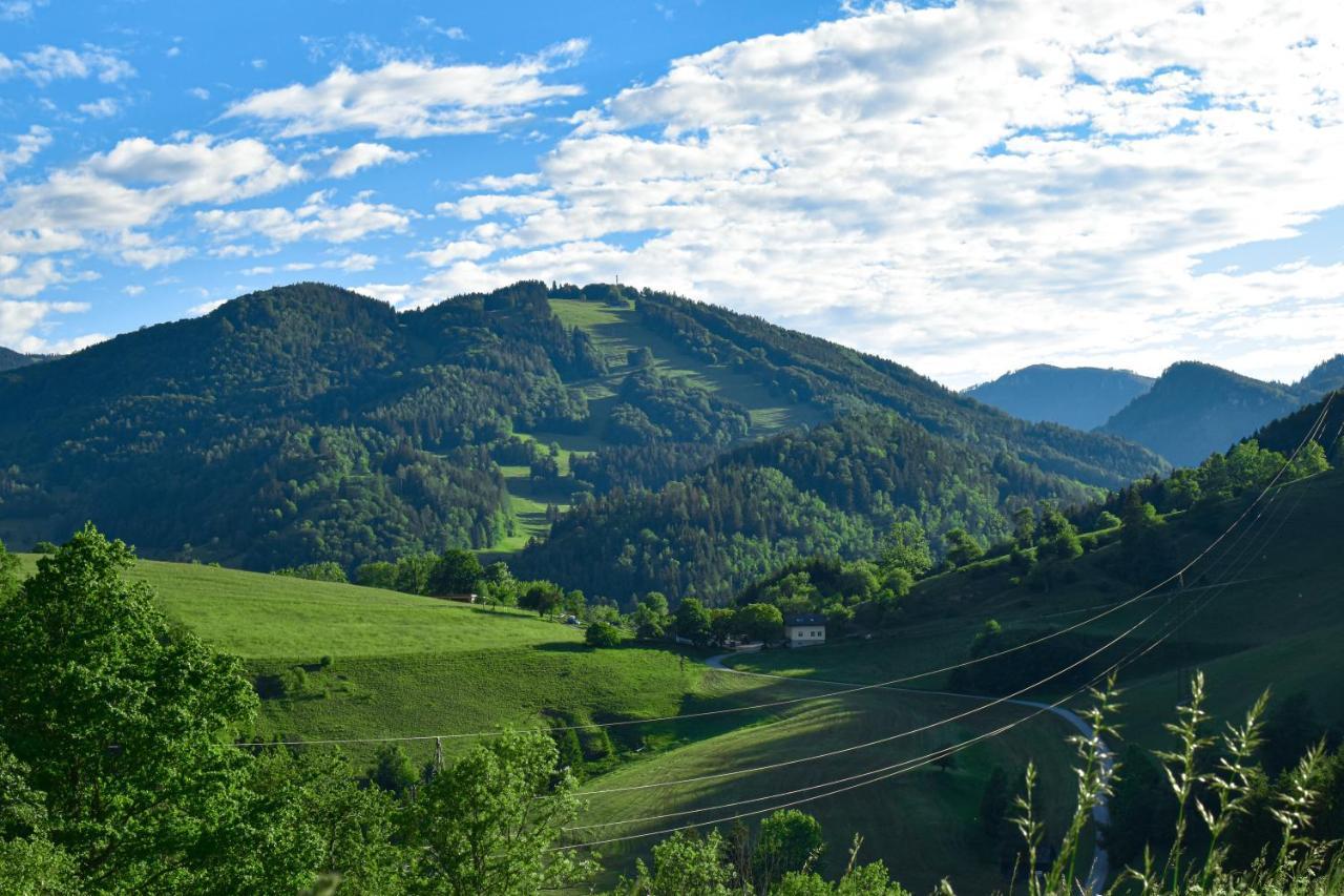 Ferienwohnung Am Sattelhof Turnitz Екстер'єр фото